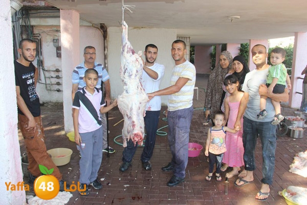 dabe7 ludj31 (28).JPG